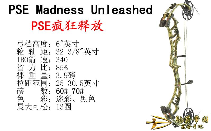 PSE Madness Unleashed 疯狂释放